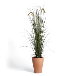 Outdoor Grass Potted Plant