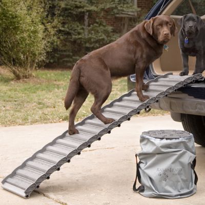 Roll Up Dog Ramp Frontgate