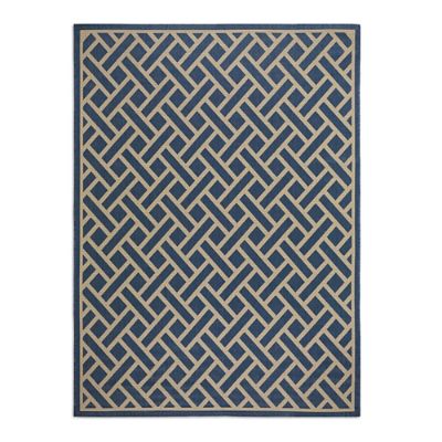 Inspiring Natural Outdoor Rug Rob Flat Weave Natural Outdoor Rug ...