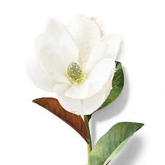 Snowy Magnolia Stems, Set of Six