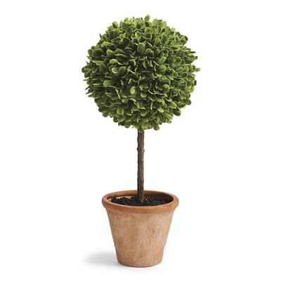 Outdoor Boxwood Topiary