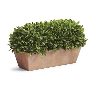 Outdoor Rectangular Boxwood Topiary