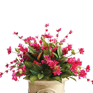 Exotic Foliage and Bougainvillea Urn Filler