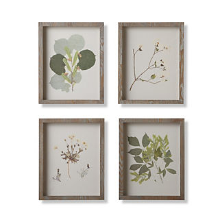 New York Botanical Garden Pressed Leaf Giclee Prints, Set of Four