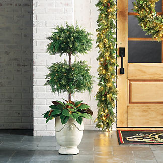 Outdoor Cypress Double Ball Topiary