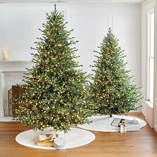 Color Changing Oxford Fir Full Profile Tree