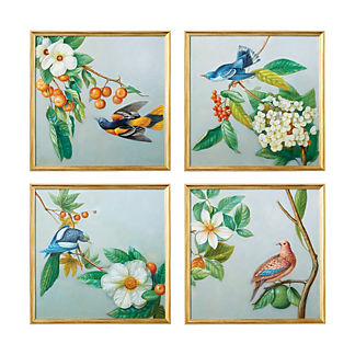 Take Flight Bird Paintings, Set of Four