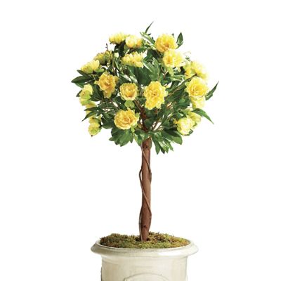 Peony Bush Topiary