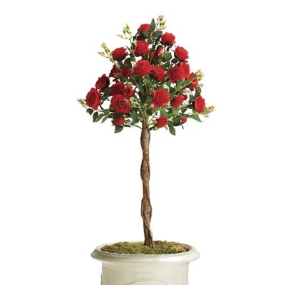 Red Rose Bush Topiary