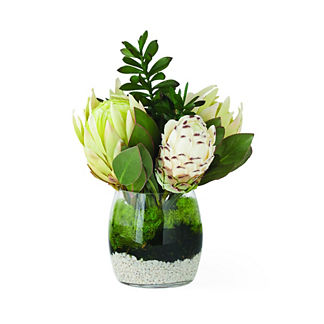 White Proteas with Jade Plants in Glass Vase