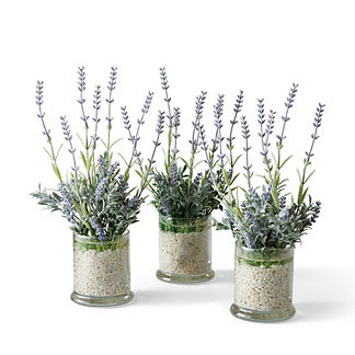 Lavender Branches in Glass Jars, Set of Three