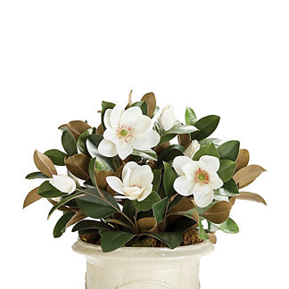 Magnolia Urn Filler