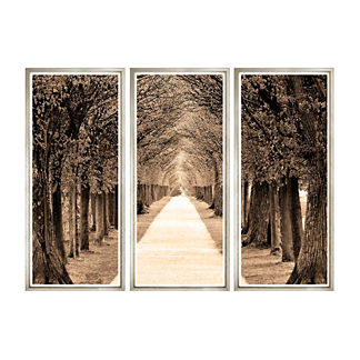 Down the Avenue Triptych