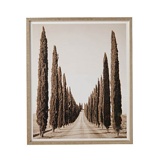 Tour of Tuscany Giclee Print