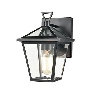 Plymouth Indoor/Outdoor Wall Sconce