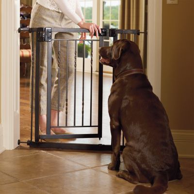 Steel Pet Gate Frontgate