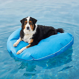 Dog Pool Float and Lounger