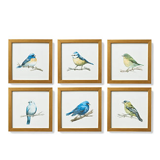 Songbird Giclee Prints in Blue, Set of 6