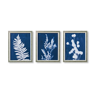 Blueprint Botanicals Cyanotype Triptych