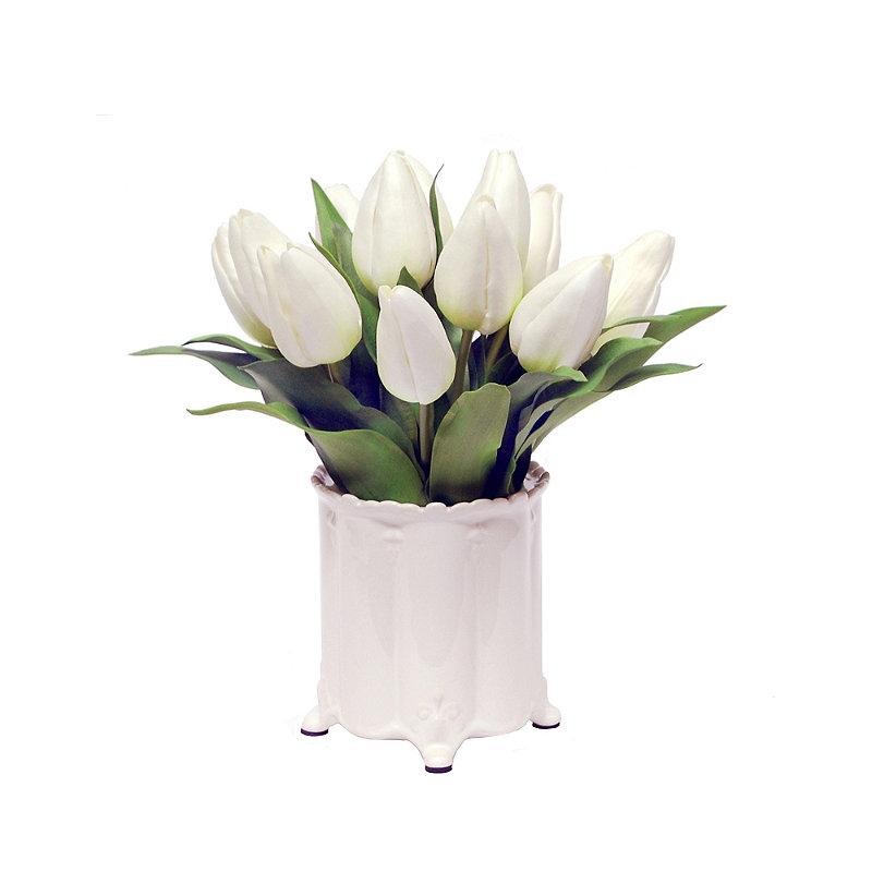 Tulip in Canister Vase