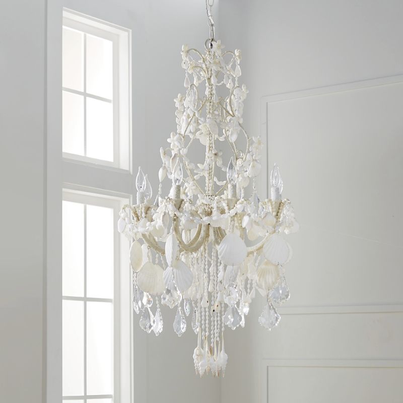 Harbor Shell Chandelier