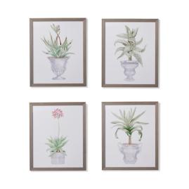 35" Cachepot Aloe Gicl&eacute;e Prints From The New