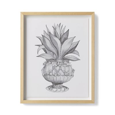 Watercolor Aloe Giclee Print IV from the New York Botanical Garden Archives
