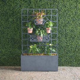 Alix Trough with Trellis Collection