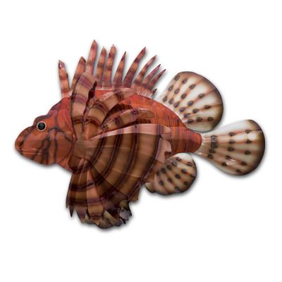 Firefish Indoor/Outdoor Wall Art