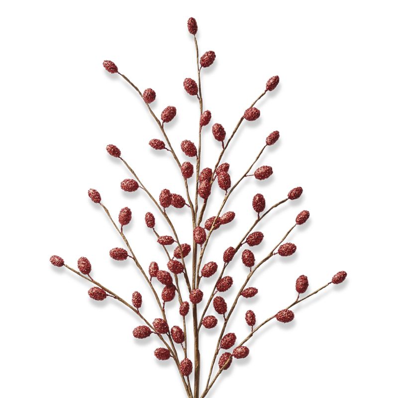 Frontgate Pussy Willow Stem, Set Of Six In Red