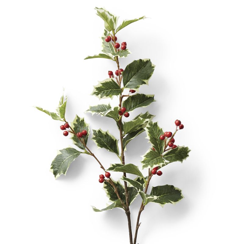 Frontgate Set Of 6 Holly Leaf Berry Stem