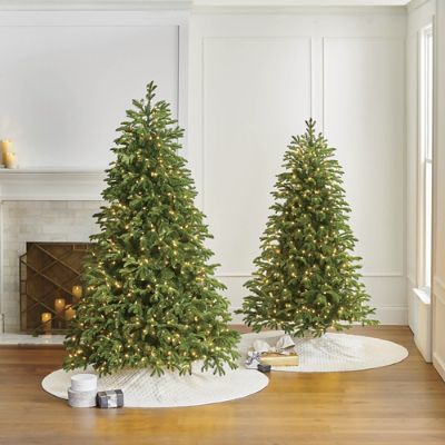 Rocky Mountain Noble Pine Full Profile Quick-Light Tree