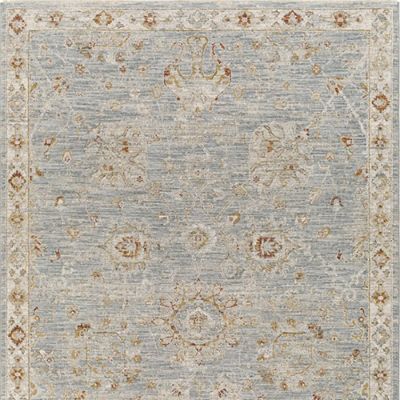 Suri Performance Area Rug