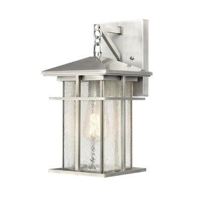 Drexel Indoor/Outdoor Wall Sconce