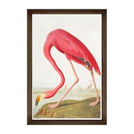 American Flamingo Gicl&eacute;e Print