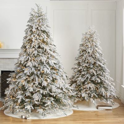 Frosted Canterbury Fir Tree with Warm White LED Lights