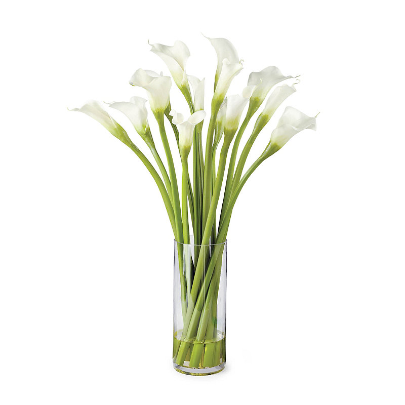 Calla Lily in Cylinder