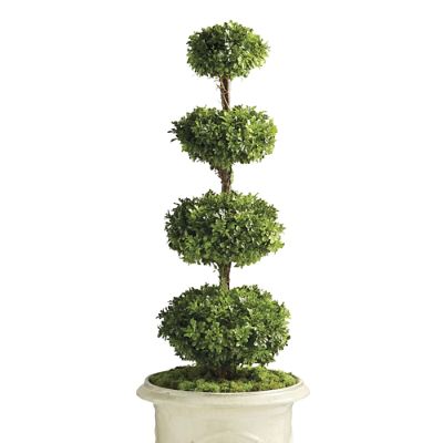 Outdoor Four Tier Boxwood Disc Topiary