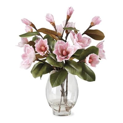 Pink Magnolia Stems in Glass