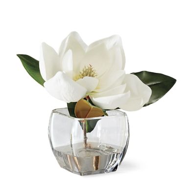 White Magnolia in Square Vase