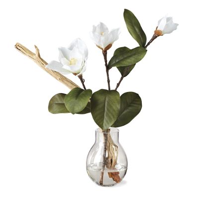 White Magnolias & Ghostwood in Light Bulb Vase