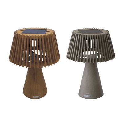 Ira Outdoor Solar LED Teak Table Lamp