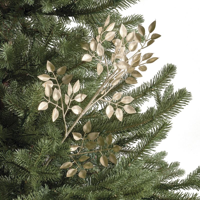 FRONTGATE SET OF 6 RUSCUS LEAF STEMS 