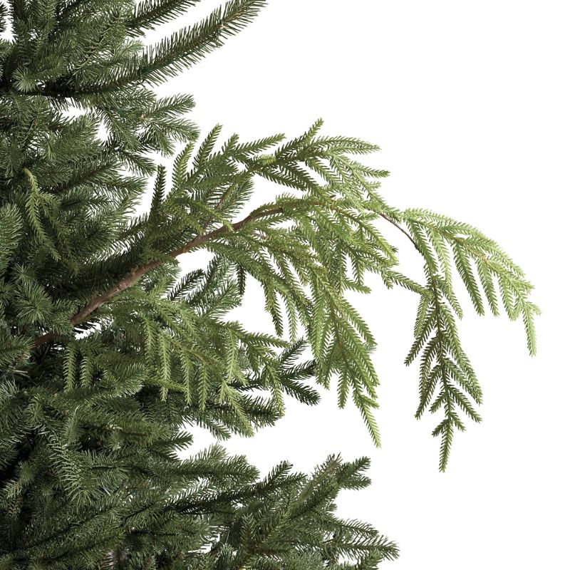 FRONTGATE SET OF 6 NORFOLK PINE SPRAYS 