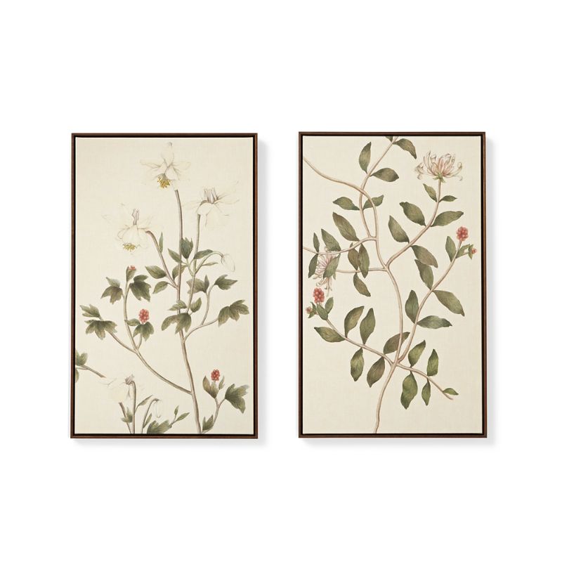 FRONTGATE GRACEFUL FLORA GICLEE PRINTS 