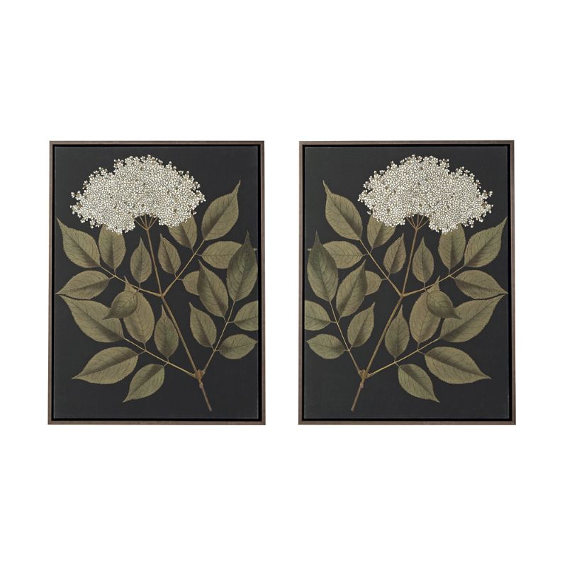 FRONTGATE EVENING BLOSSOM GICLEE PRINTS 