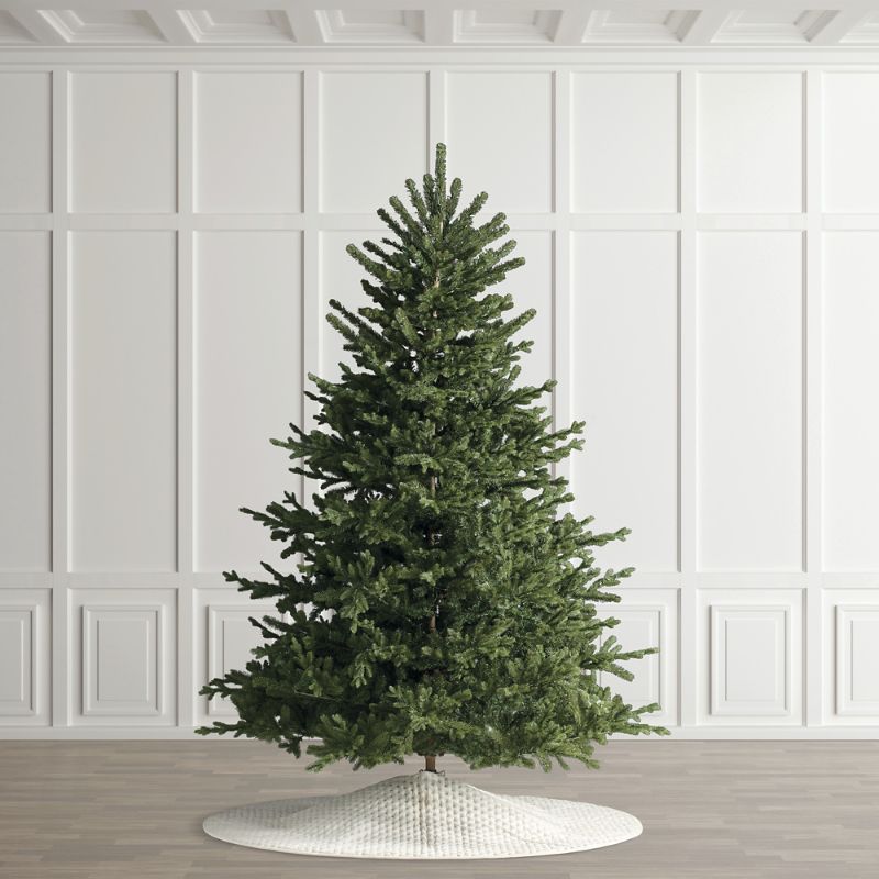 Frontgate Starry White Spruce Tree