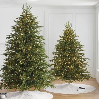 Carolina Fraser Fir Quick-Light Tree