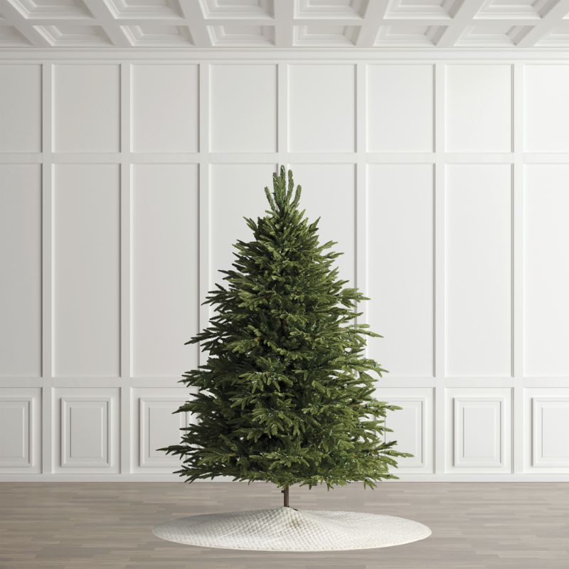 Frontgate Carolina Fraser Fir Quick Light Tree