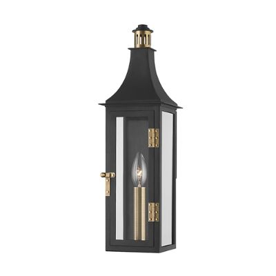 Corinne Indoor/Outdoor Wall Sconce